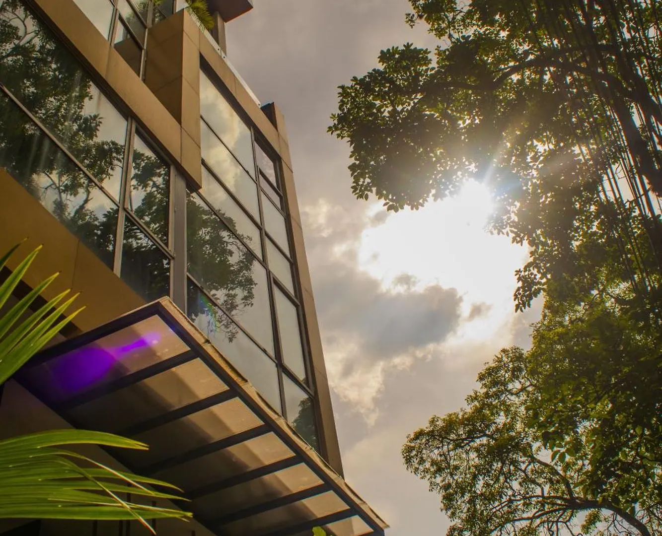 Haven A Design Hotel Medellín