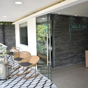 Pensión Boutique Nido De Loros, Medellín